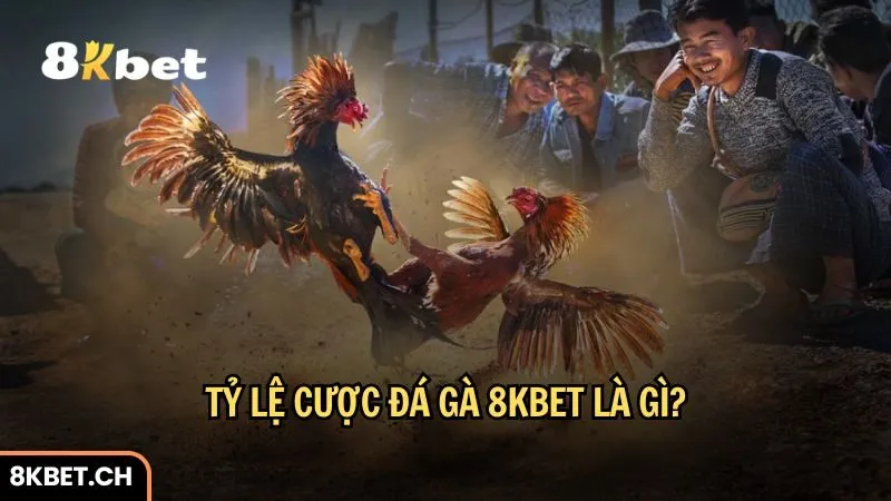 Tỷ lệ cược đá gà 8Kbet là một trong những yếu tố quan trọng