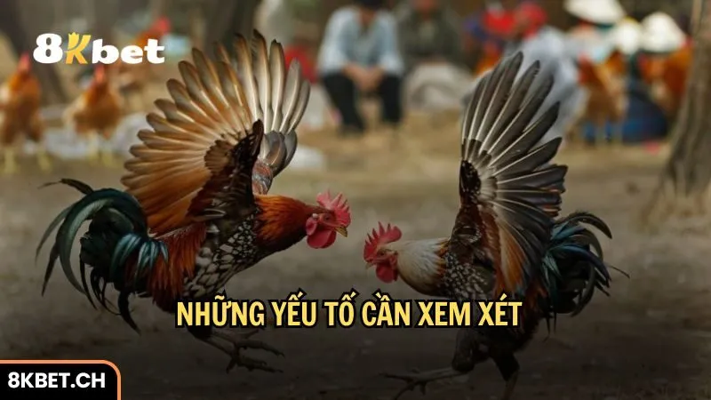 Những yếu tố cần xem xét trong tỷ lệ cược đá gà